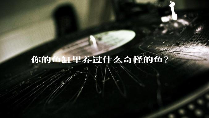 你的鱼缸里养过什么奇怪的鱼？