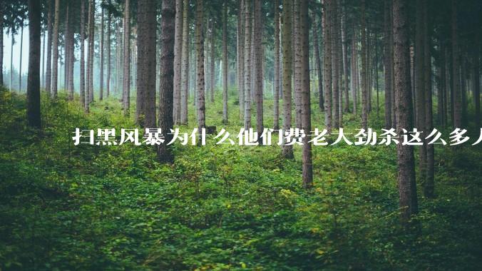 扫黑风暴为什么他们费老大劲杀这么多人不如直接把督导组干掉？