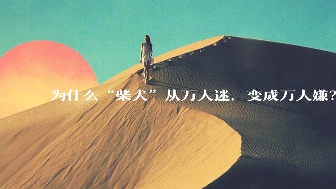 为什么“柴犬”从万人迷，变成万人嫌？