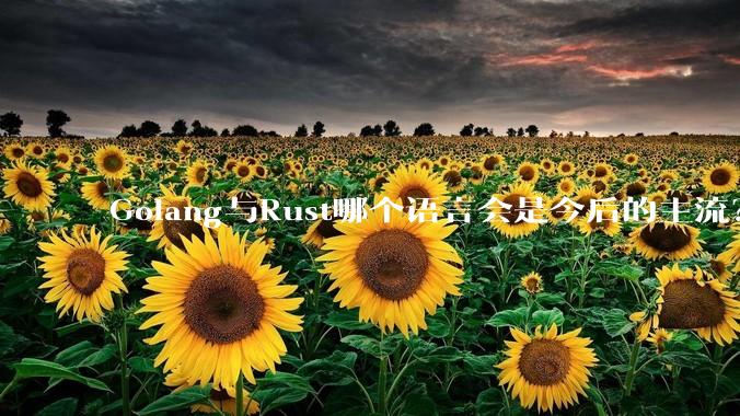 Golang与Rust哪个语言会是今后的主流？