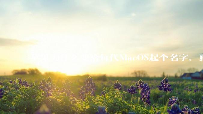 苹果为什么要给每代MacOS起个名字，真以为人们记得住分得清吗？