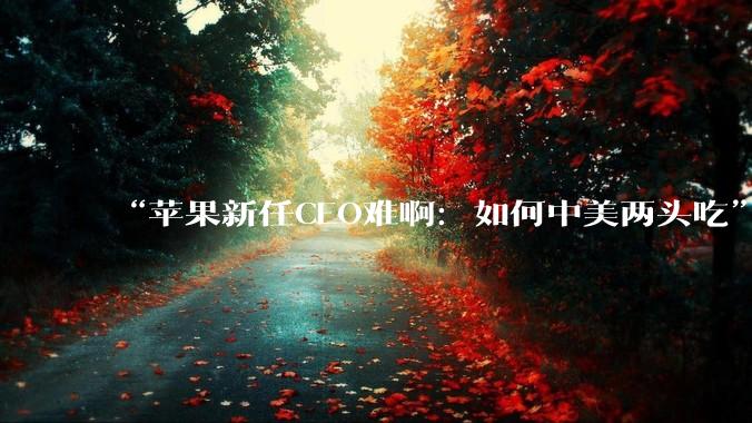 “苹果新任CEO难啊：如何中美两头吃”_iPhone_中国_制造