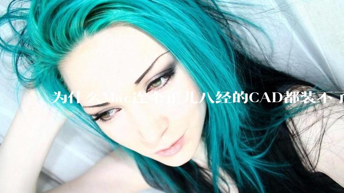 为什么Mac连个正儿八经的CAD都装不了还敢打着生产力的旗号？