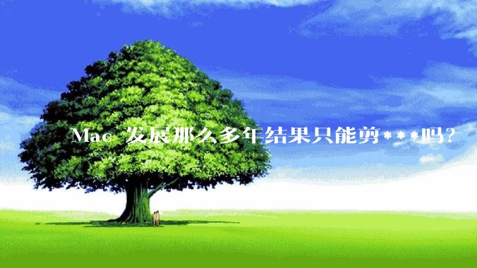 Mac 发展那么多年结果只能剪***吗？