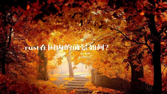 rust在国内的前景如何？