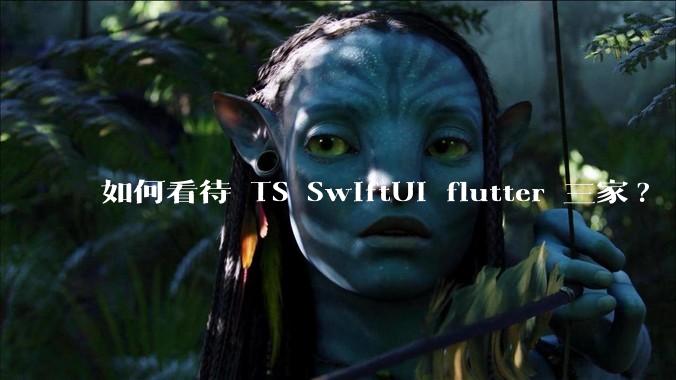 如何看待 TS SwiftUI flutter 三家?