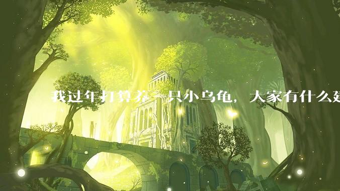 我过年打算养一只小乌龟，大家有什么建议吗？
