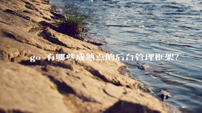 go 有哪些成熟点的后台管理框架？